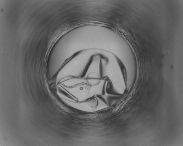 X0000066950049200604211826