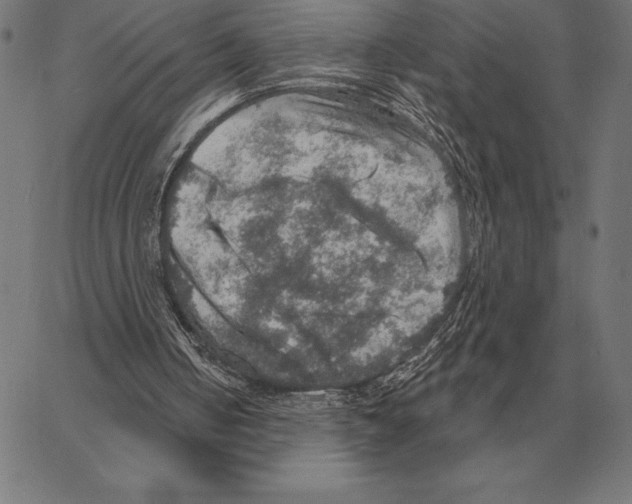 X0000066950050200604211826