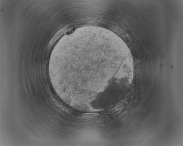 X0000066950051200604211826