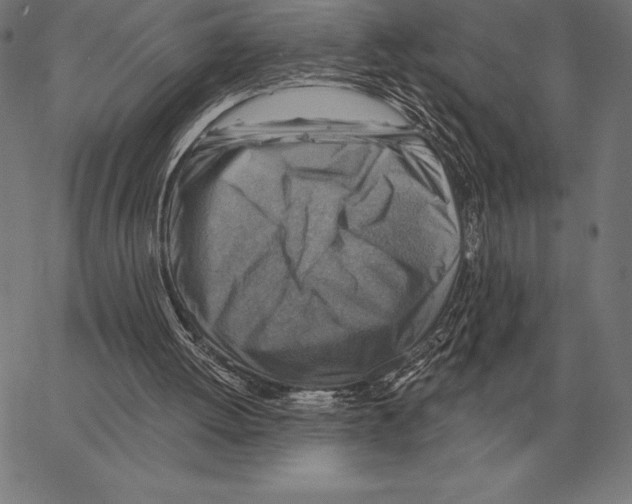 X0000066950052200604211826