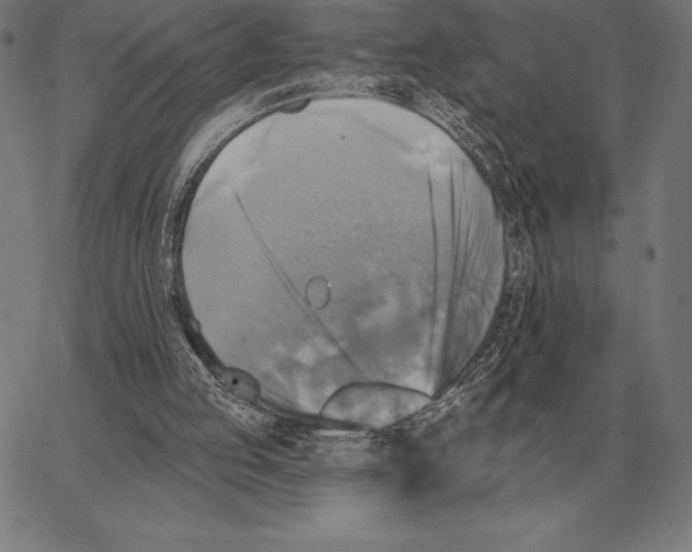 X0000066950053200604211826