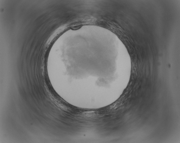 X0000066950054200604211826