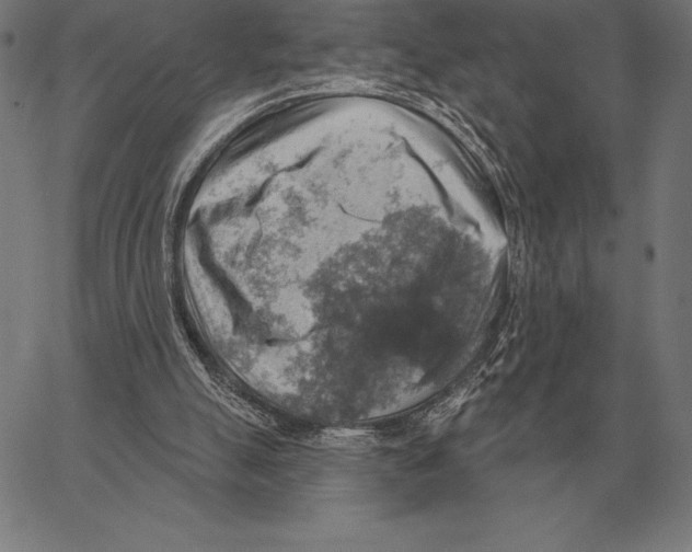 X0000066950055200604211826