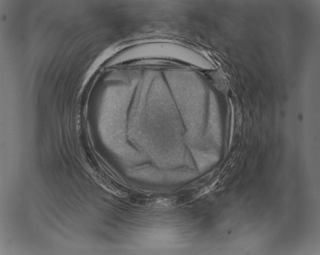 X0000066950056200604211826