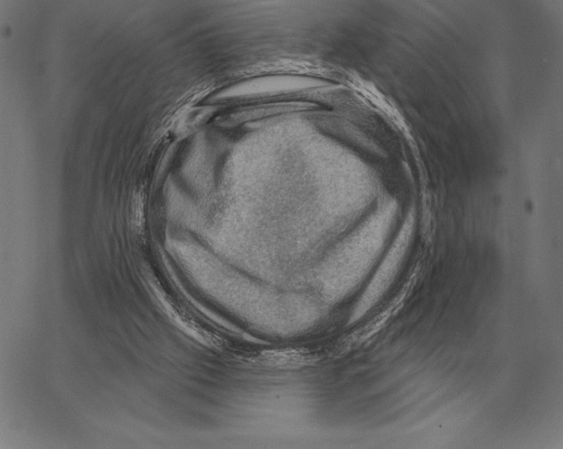 X0000066950057200604211826