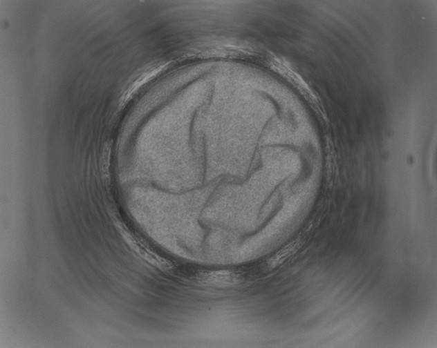 X0000066950058200604211826