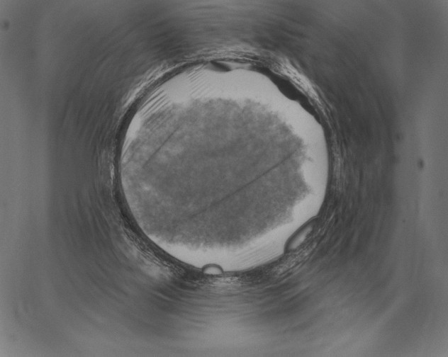 X0000066950059200604211826