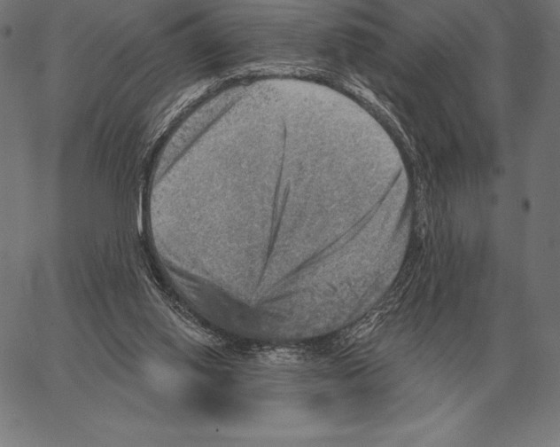 X0000066950062200604211826