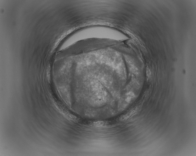 X0000066950064200604211826