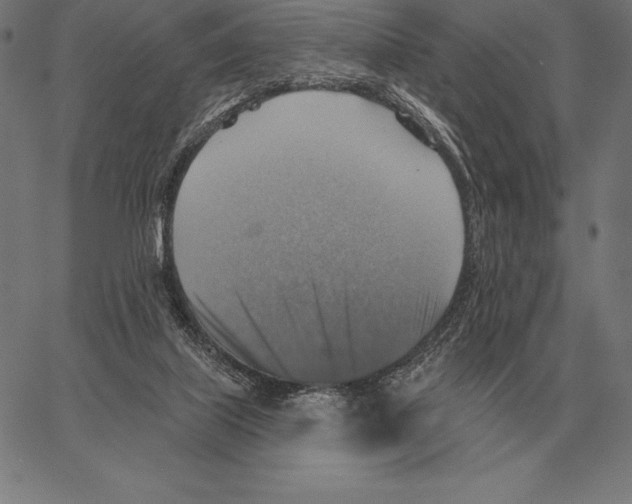 X0000066950067200604211826