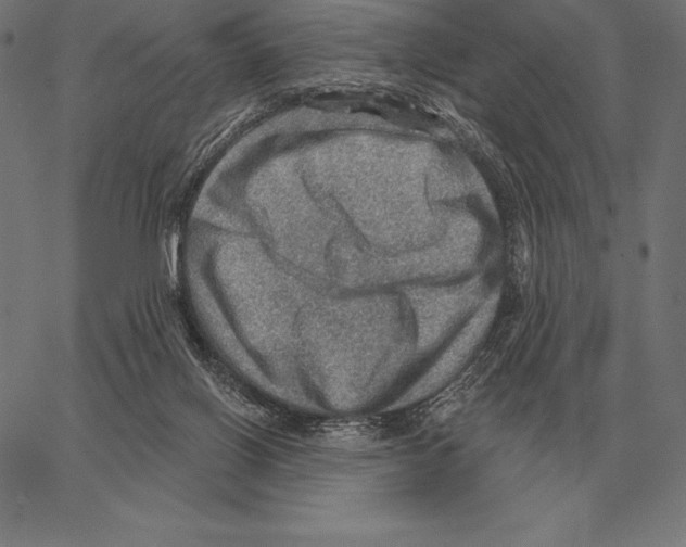 X0000066950070200604211826