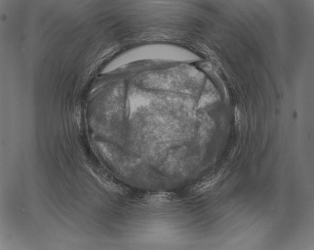 X0000066950072200604211826