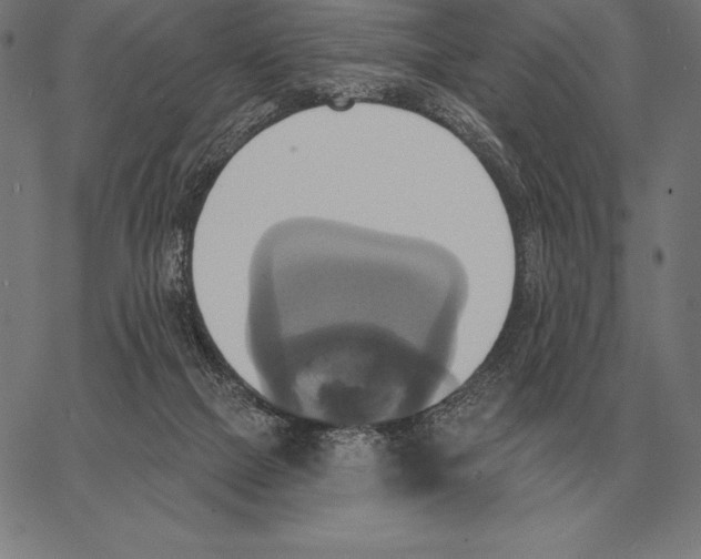 X0000066950073200604211826