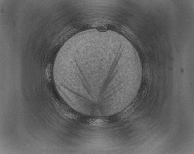 X0000066950074200604211826