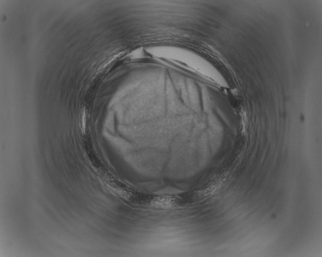 X0000066950076200604211826