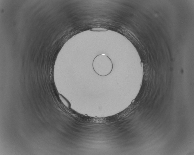 X0000066950077200604211826