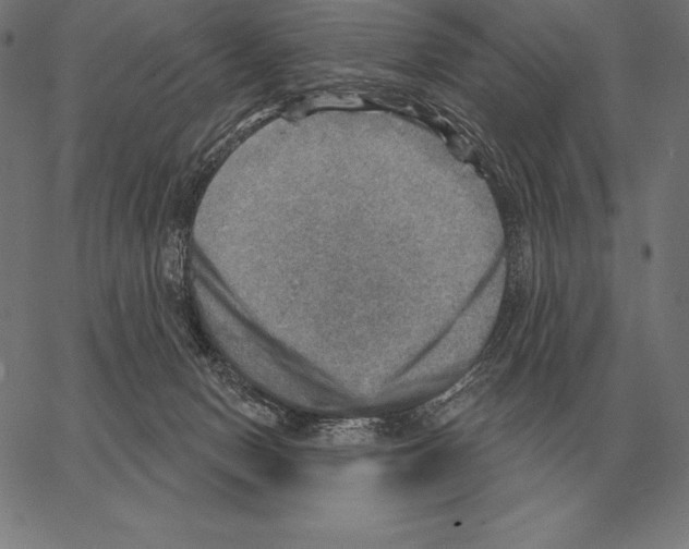 X0000066950078200604211826