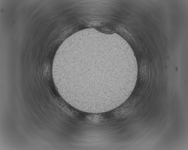 X0000066950079200604211826