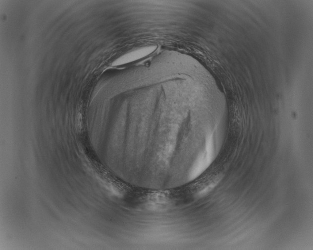 X0000066950080200604211826