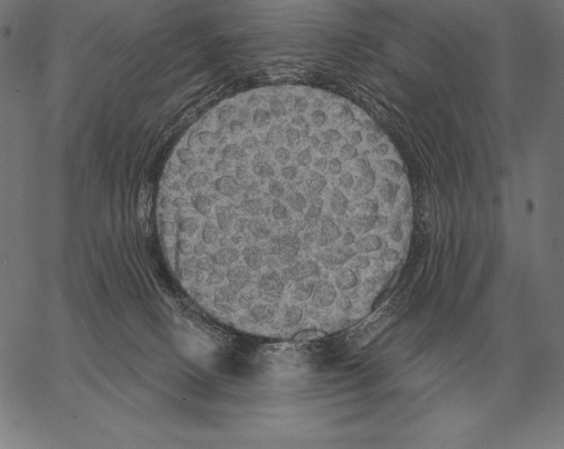 X0000066950082200604211826