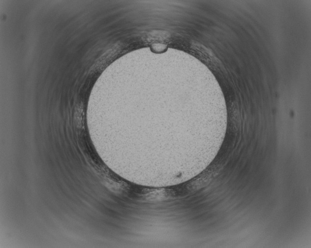 X0000066950083200604211826