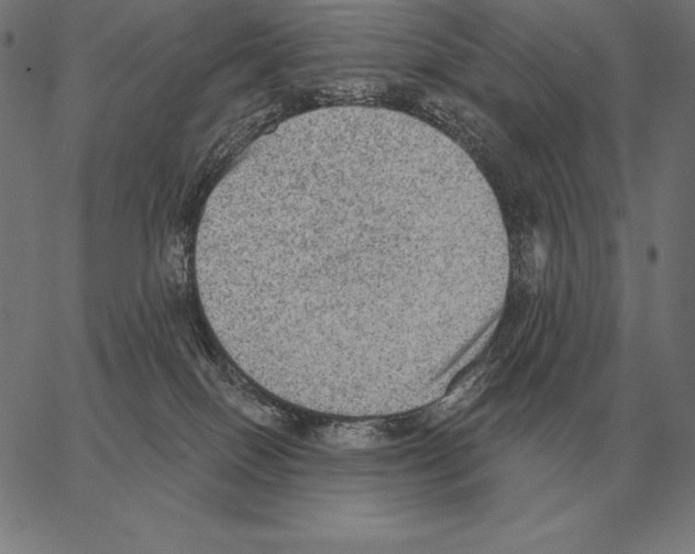 X0000066950086200604211826