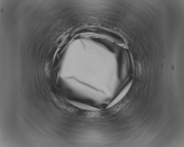 X0000066950088200604211826