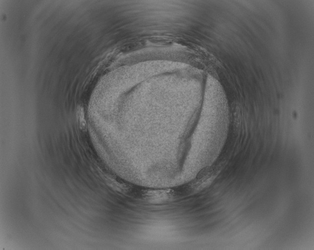 X0000066950089200604211826