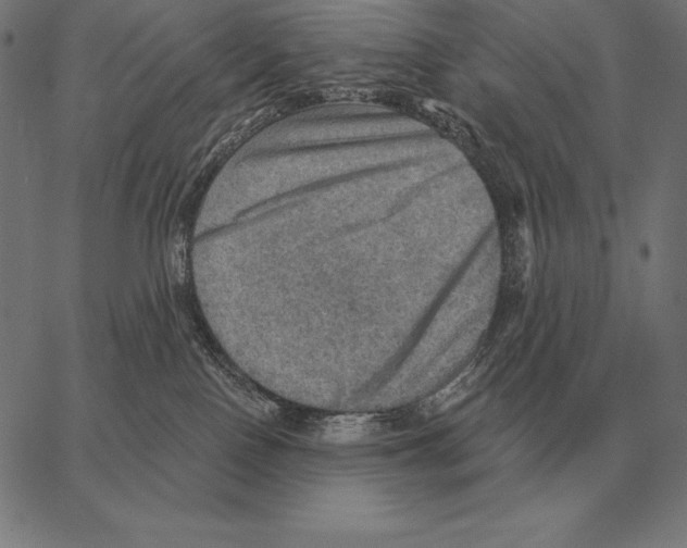 X0000066950090200604211826