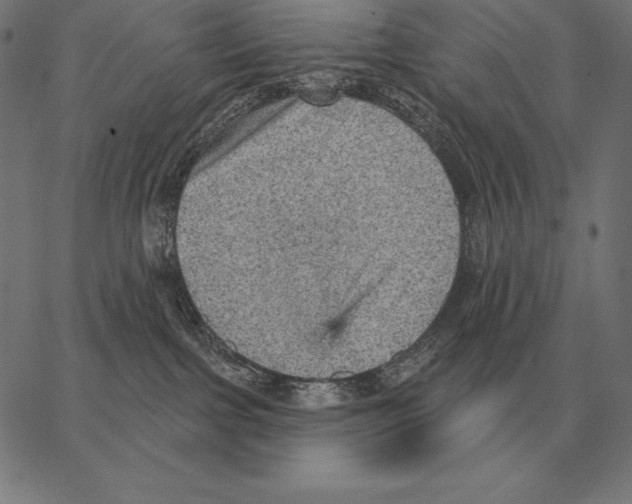 X0000066950091200604211826