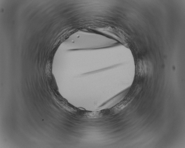 X0000066950092200604211826