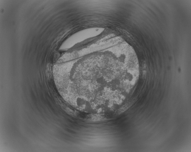 X0000066950093200604211826