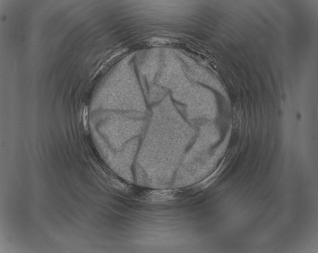 X0000066950094200604211826