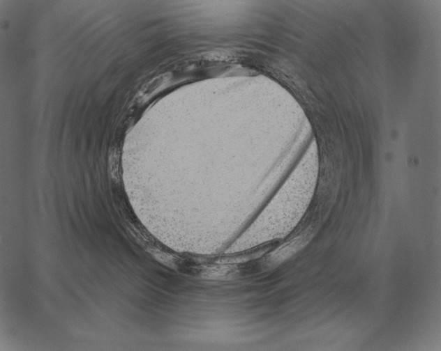 X0000066950096200604211826