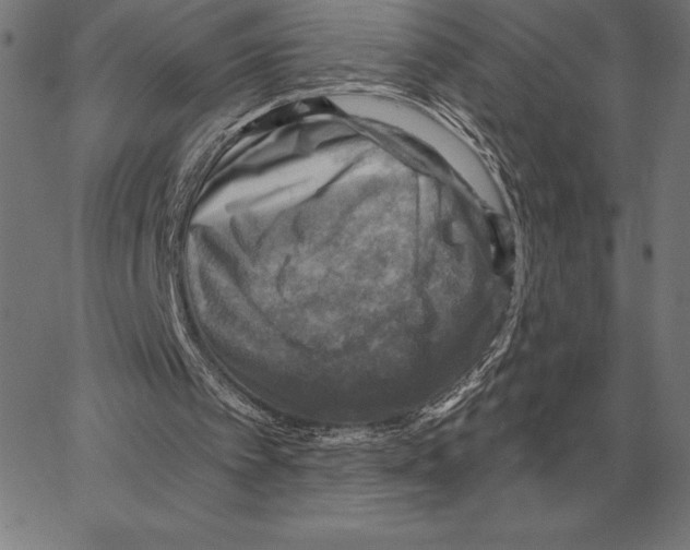 X0000066950097200604211825