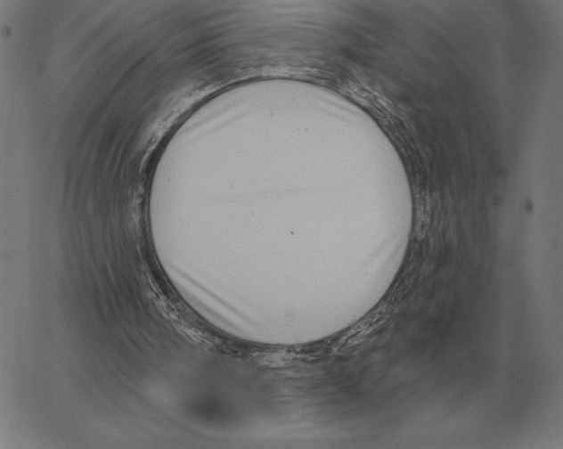 X0000066950098200604211825