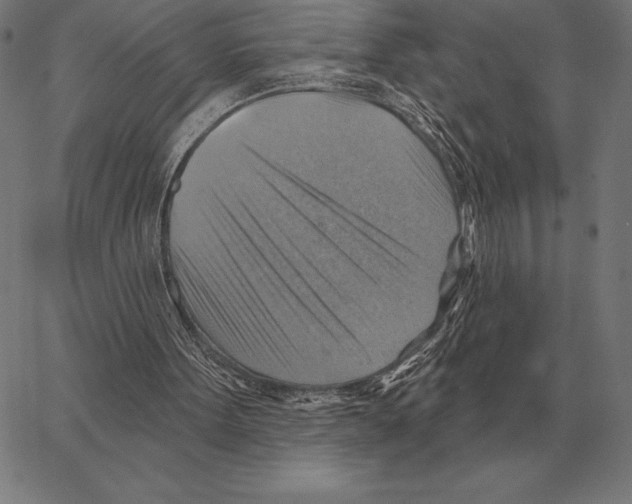 X0000066950099200604211825