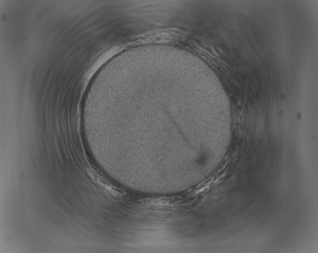 X0000066950100200604211825