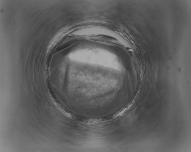 X0000066950101200604211825