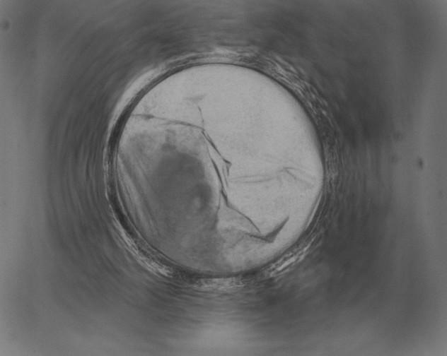 X0000066950102200604211825