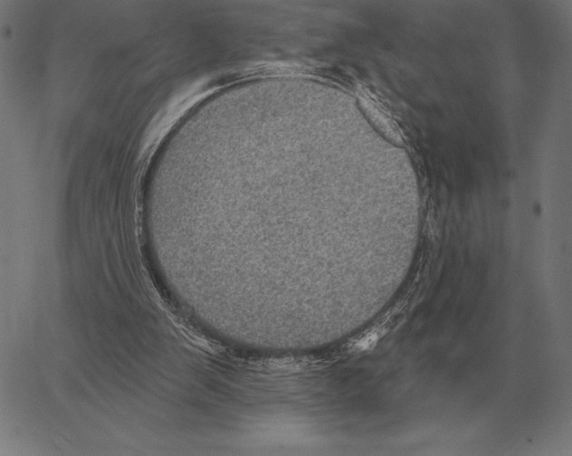 X0000066950103200604211825