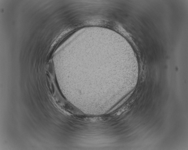 X0000066950106200604211825