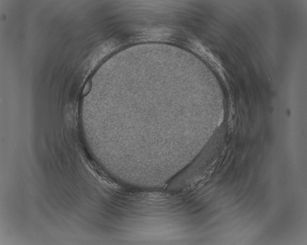 X0000066950107200604211825