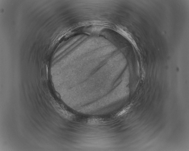 X0000066950109200604211825