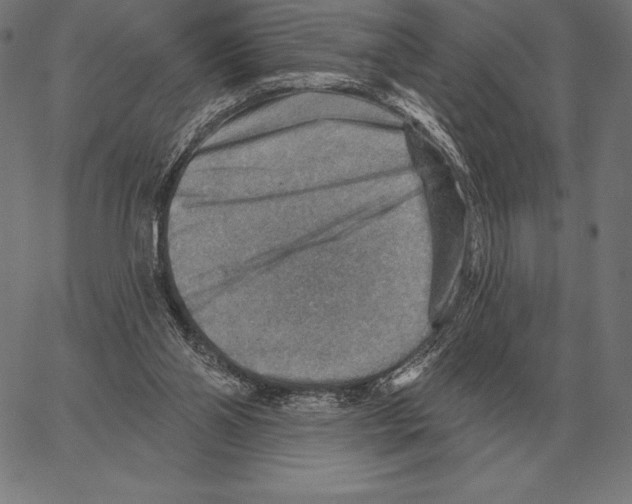 X0000066950110200604211825