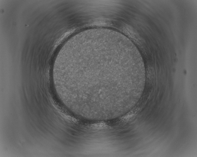 X0000066950112200604211825