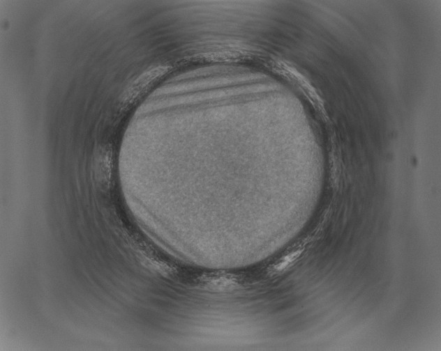 X0000066950113200604211825