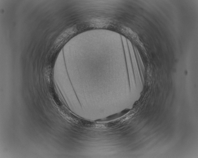 X0000066950114200604211825