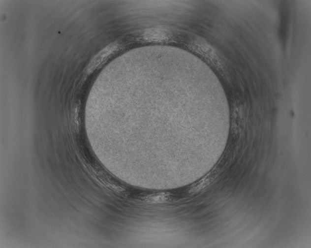 X0000066950116200604211825