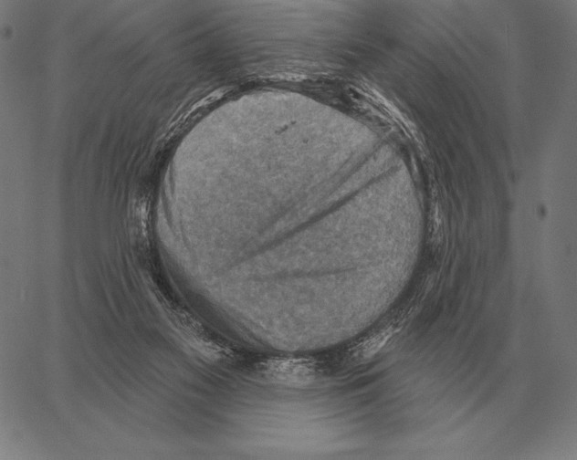 X0000066950117200604211825